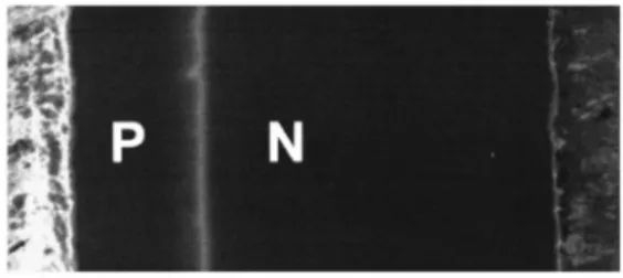 FIG. 1. Mixed GSED/EBIC image of a cross-sectioned P 1 PN silicon power diode ~E beam 520 keV, P51.9 Torr, horizontal field width 5289 m m !.