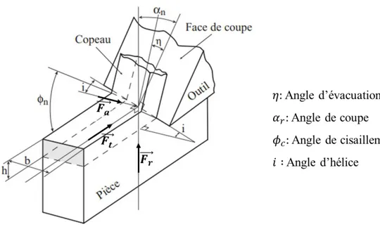 Figure 2-12 : Modélisation des composantes de la force de coupe [36]  