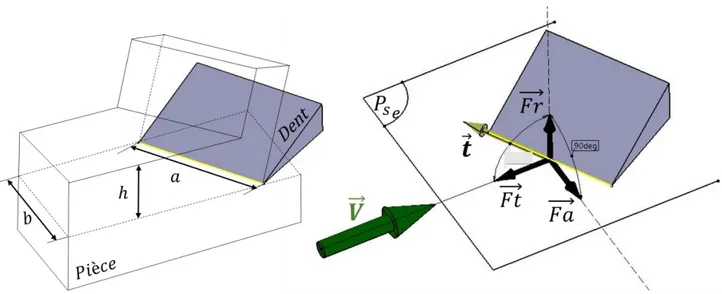 Figure 3-1 : Composantes de la force de coupe élémentaire.  3.1.1  Fonction fenêtre 