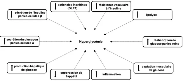 Figure 2 : Résumé de la physiopathologie du diabète de type 2 