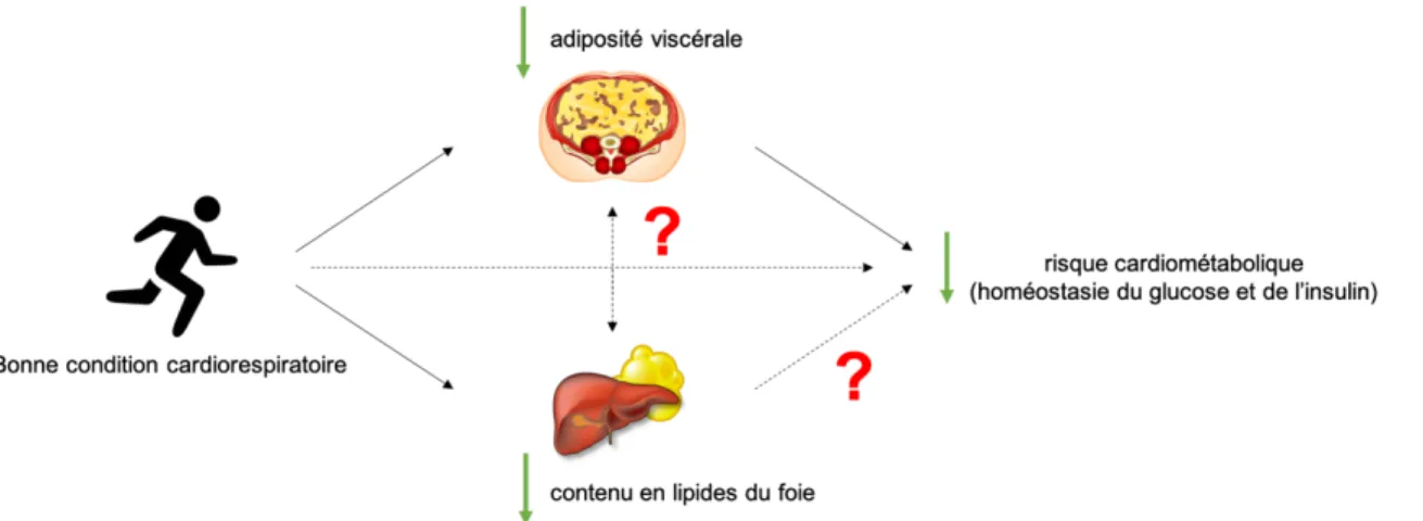 Figure 5 : Résumé de la problématique de recherche 