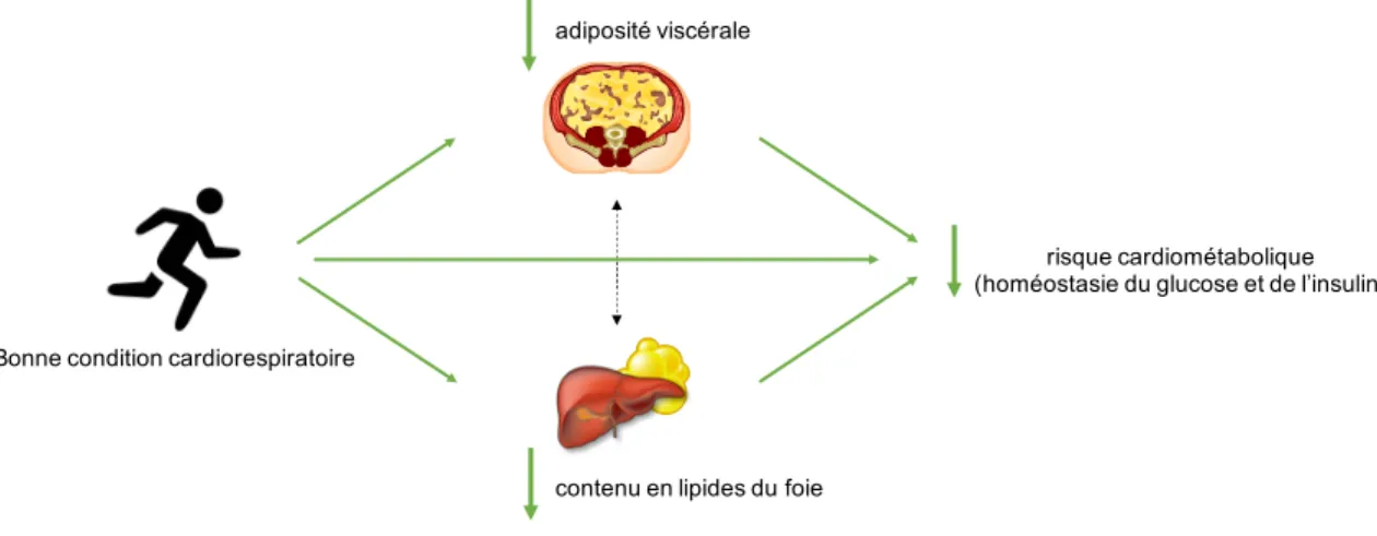 Figure 6 : Contribution des travaux à la résolution de la problématique de recherche 