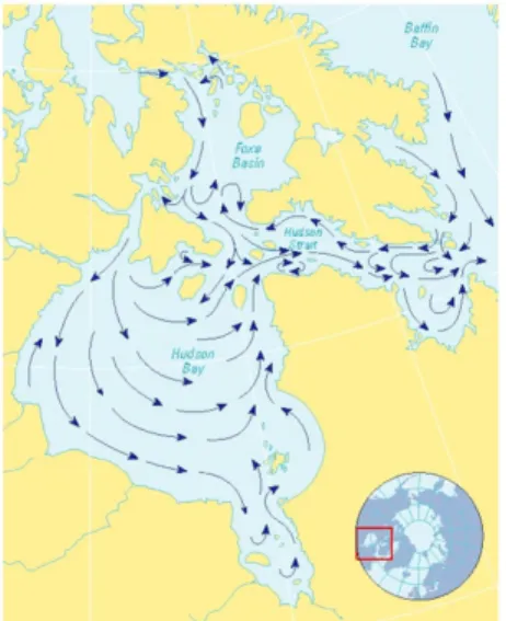 Figure  iii  Carte  des  courants  de  surface  de  la  baie  d’Hudson,  du  détroit  d’Hudson,  de  la  baie 