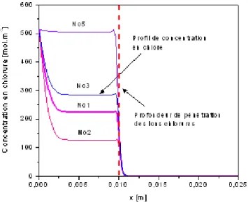 Figure 3.23: E¤ et de la composition de la solution interstitielle sur le pro…l de concentration en chlorure.