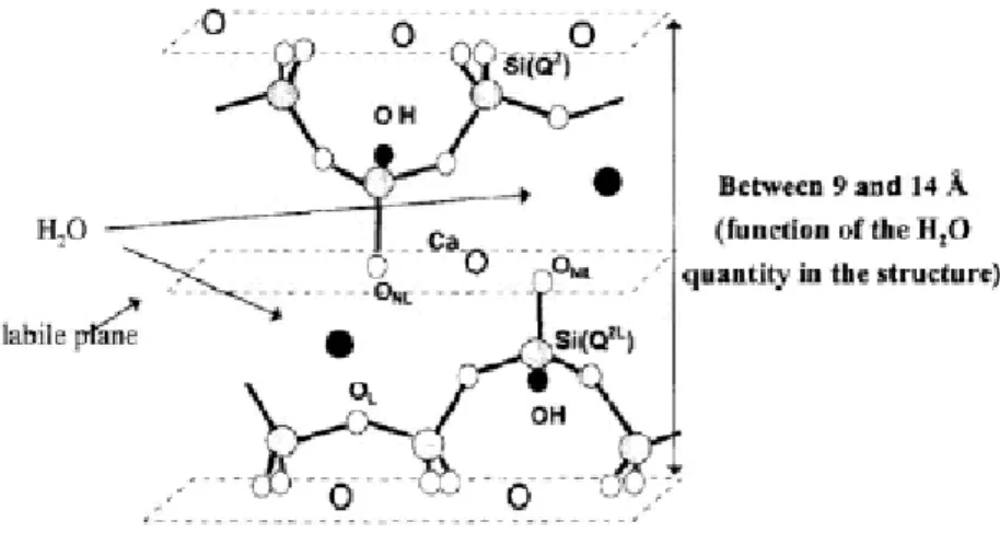 Figure 2.17: Structure des feuillets de CSH selon Faucon et al. [12]