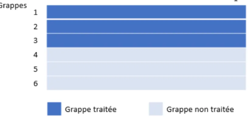 Figure 1.1  Étude parallèle avec six grappes utilisées pour comparer deux traitements La structure parallèle peut contenir deux points de temps tel qu'illustré dans la gure 1.2, le premier point de temps correspond à une mesure de référence (baseline) où