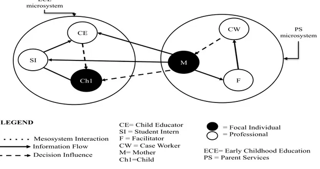 Fig. 1 Initial Key Social Regularities Linking the Two Intervention Microsystems