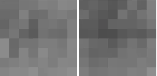 Figure 6.5: Local means computed over a set of non-overlapping square subdomains in two TEM images.