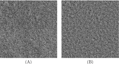 Figure 7.9: A TEM image of 70 nm mesoporous alumina sample 1. (A) Original image (B) Filtered image.