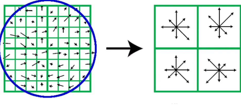 Figure 3.11 – Descripteur SIFT [Lowe, 2004]. Orientation et amplitude des gradients sont calculées en