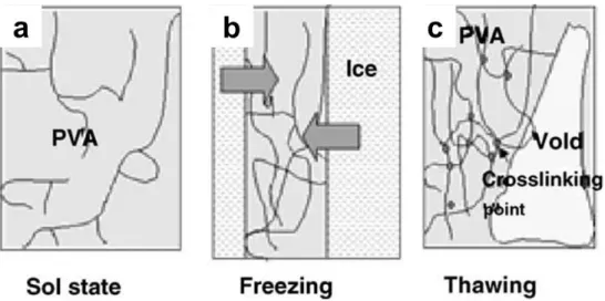 Figure 10 Schematic illustration of gel formation by freezing and thawing. 38 