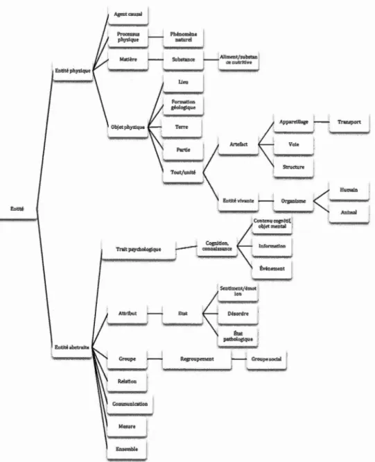 Figure 3.3  Hiérarchie  des  traits sémantiques selon WordNet 