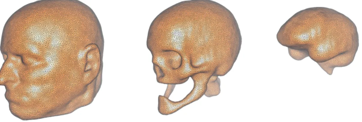 Fig. 2.3  Exemples de maillages triangulaires emboîtés (peau - câne - cerveau + LCR ) réalisés à partir des images du &#34;Visible Human 2.0&#34;