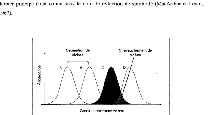 Figure 3: Le concept de separation de niches, chevauchement de niches et limitation de la  similarite