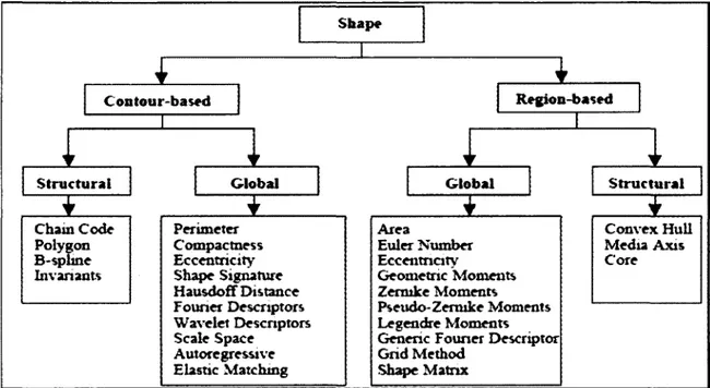Figure 1.3 - Classification des descripteurs de formes selon leur approche 
