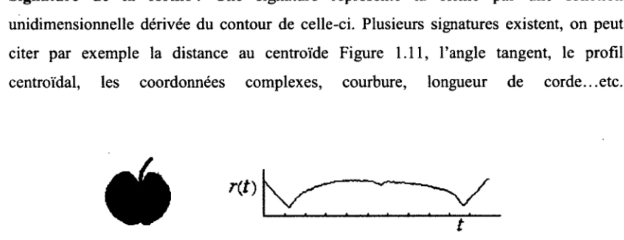 Figure  1.11  -  Une  forme  de  pomme  et  sa  signature  de  distance  au  centroide 