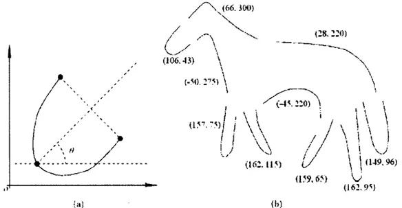 Figure 1.16 - (a)  est l'orientation du jeton ; (b) Une forme de cheval décomposée en  plusieurs jetons