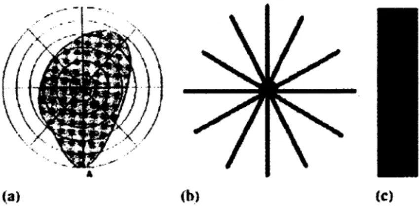 Figure 1.19 - (a) Echantillonnage en coordonnées polaires ; (b) Une étoile formée de barres 