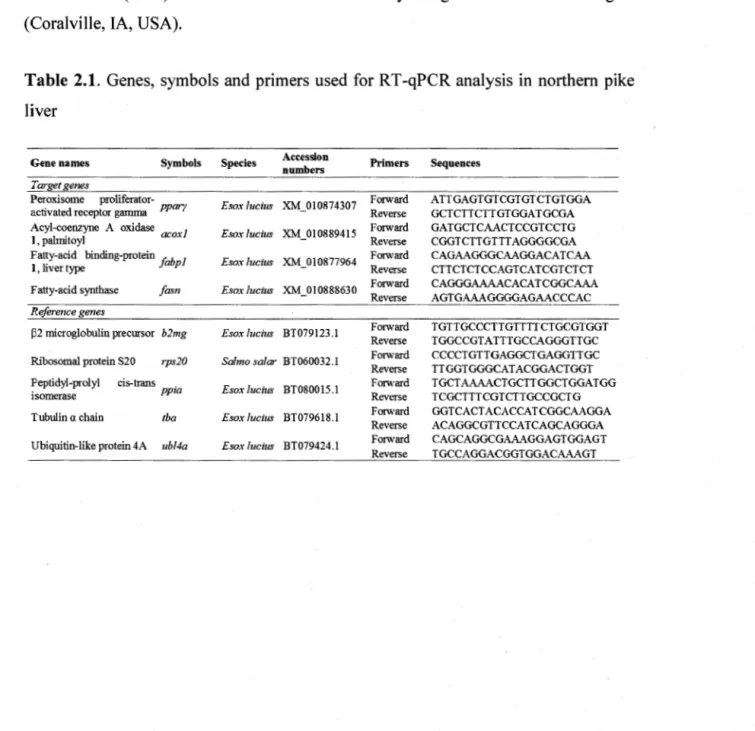 Table  2.1. Genes,  symbols  and primers used  for  RT-qPCR analysis  in  northern pike 