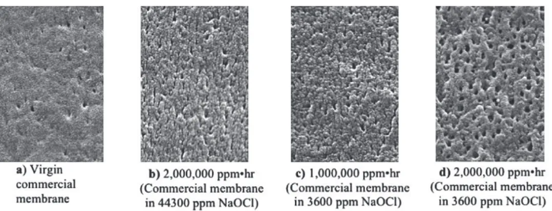 Figure A. 28. Images MEB d’une membrane PVDF/additif (a) native et (b, c et d) au contact de NaOCl à différentes  concentrations et temps d’exposition 105