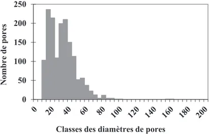 Figure B. 21. Exemple de distribution de taille de pores de la peau sélective d’une membrane d’ultrafiltration 