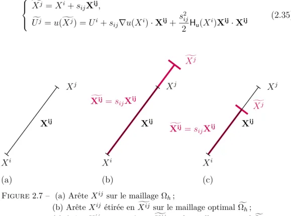 Figure 2.7 – (a) Arête X ij sur le maillage Ωh ;