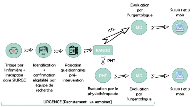 Figure 1. Déroulement du projet de recherche 