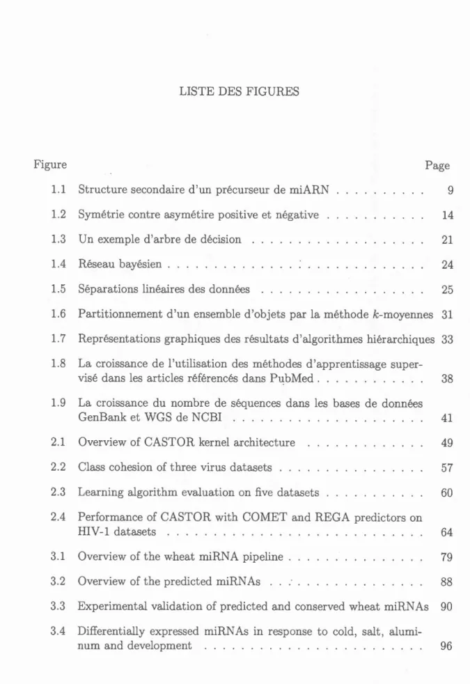 Figure  Page  1.1  Structure  secondaire  d'un  précurseur  de  miARN  9  1.2  Symétrie  contre  asymét ir  positive  et  négative  14 