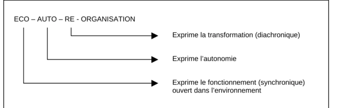 Figure 2 : Le paradigme de l’organisation 