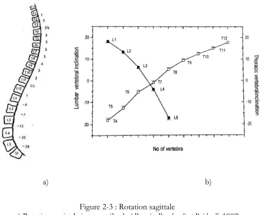 Figure 2-3 : Rotation sagittale  