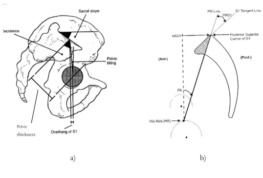 Figure 2-4 : Paramètres pelviens dans le plan sagittal   a) d’après Legaye et coll., 1998 