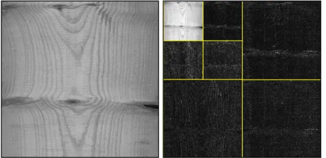 Figure 30 : Transformation en ondelettes à deux niveaux d’une image de pin.  