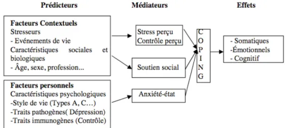 Figure 2. - Modèle transactionnel du stress de Lazarus 