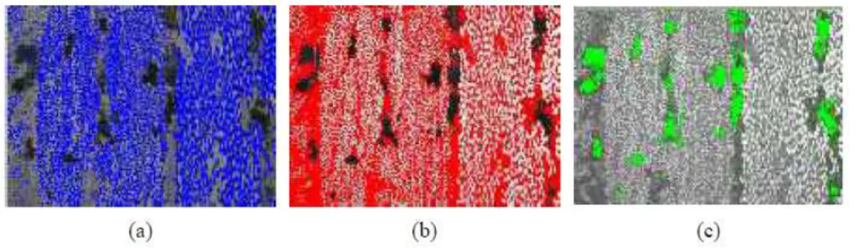Figure 14 : Identification et quantification des différentes phases composant un stratifié carbone/epoxy avec (a)  bleu = fibres de carbone, (b) rouge =  matrice époxy et (c) vert = porosités [25] 