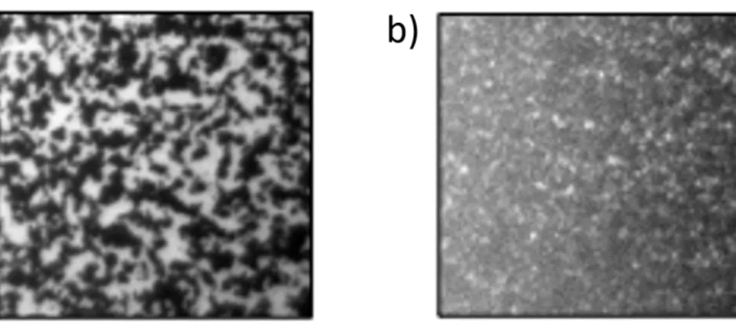 Figure 1.15 – Microstructure sous diff´ erent cisaillements en cellule plan-plan d’une dispersion de CB pour une fraction volumique φ = 3% a) 133 s −1 et b) 1330 s −1 [52].