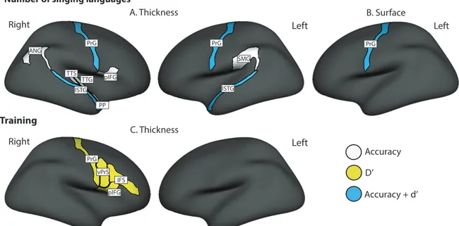 Figure 8. Illustration of the ROIs showing a significant moderated mediation, presented on the group  average inflated brain surface