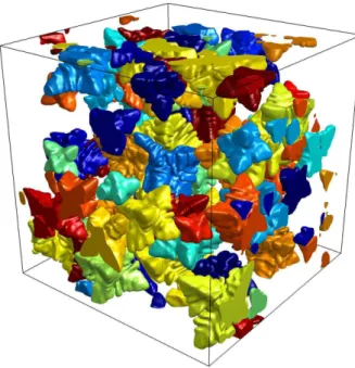 Figure 2.17: Three-dimensional simulation of dendrites with different crystalline orientations