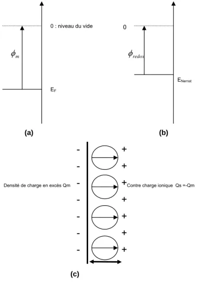 Figure 2.1  : Diagrammes énergétiques simplifiés d’un métal (a) et d’une solution redox (b)