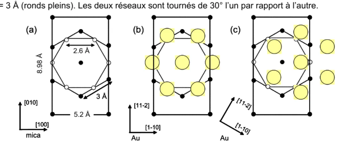 Figure 4.2  - (a) Structure simplifiée de la surface de la muscovite. Seuls les atomes d’oxygène sont représentés