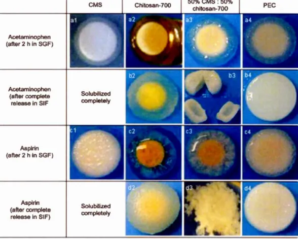 Figure  2 .  7  Photographs  of CM-St  (CMS) ,  chitosan-700 ,  50%  CMS:50%  chitosan-