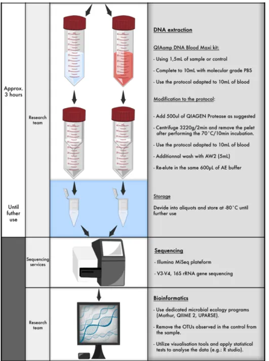 Figure  1.1.6  :  Final  bacterial  DNA  extraction  and  sequencing  pipeline  tailored  to  the  needs  and  constrains of pulmonary microbiota 