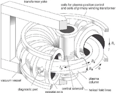 Figure 1.3: The tokamak and its confining magnetic set-up.