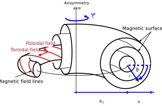 Figure 2.1: The tokamak core magnetic configuration and its traditional toroidal coordinates.