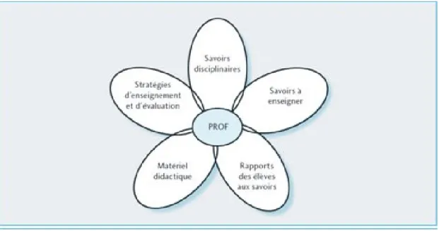 Figure 3.   La fleur du questionnement didactique 