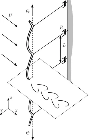 Figure 2.1 – VIV transverse de câble tendu placé dans un écoulement uniforme et équipé de systèmes de récupération d’énergie distribués périodiquement.