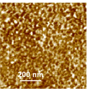 Figure 1.15 – Image AFM d’une surface décylée après passage dans la solution de BSA.