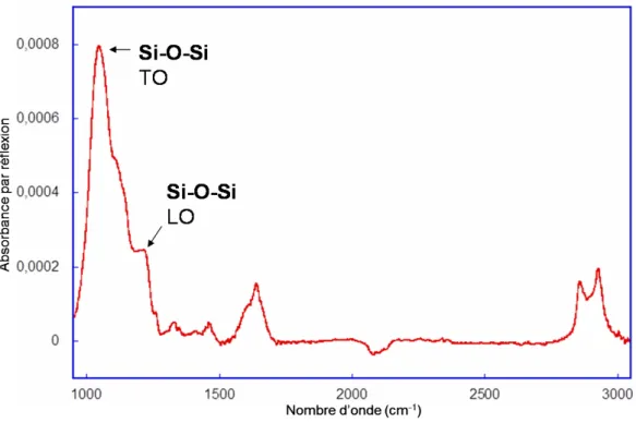 Figure 3.2 – Spectre infrarouge d’une surface greffée par des molécules C 11 (EG) 6 OMe, obtenue par greffage thermique dans du mésitylène.