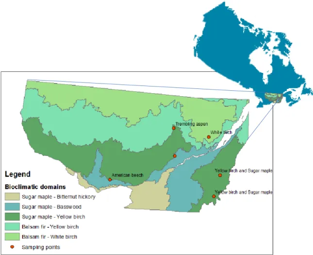 Figure 2: Quebec's bioclimatic domains and sampling points 