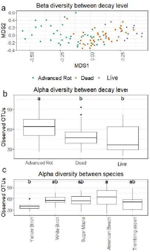 Figure 4: Beta diversity between decay levels (a) and alpha diversity expressed by the 