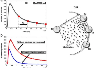 Figure 2.9 Interfering neighboring absorbing receivers and their impulse re- re-sponse [Assaf et al., 2017].